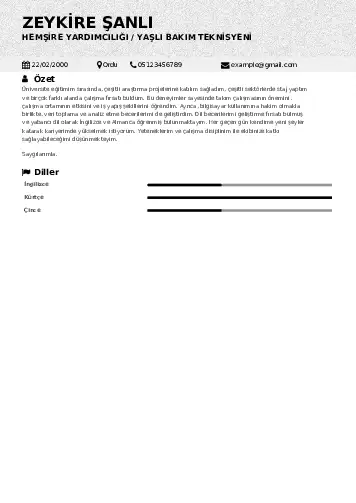 Hasta ve Yaşlı Bakım Elemanı Cv Örnekleri cv indir